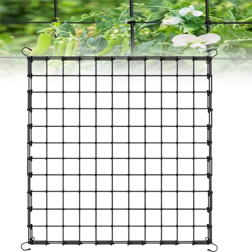 Coffee Life Plus Red de Tienda de Cultivo,40/60/90/120CM Red de Enrejado elástico,Red de Soporte de Plantas para Verduras,Enrejado de Red Flexible,Malla elástica para Plantas con Ganchos (120x120cm)