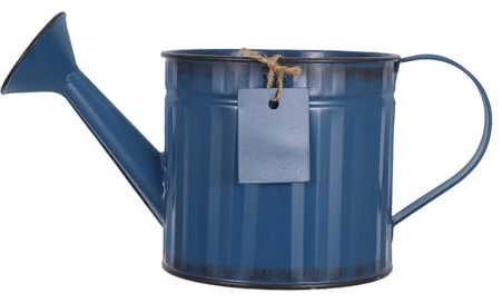 BESPORTBLE Arrosoir Vintage Fer Canne à Arrosage Décorative pour Balcon Et Jardin Pot De Fleurs Retro pour Petites Plantes Et Décoration Intérieure
