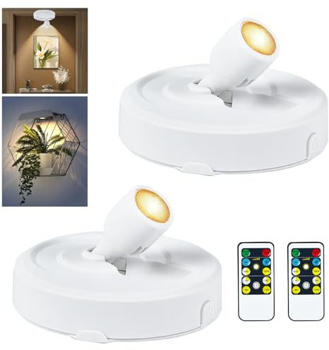 RAHAN 2 Stück Batteriebetriebener LED-Scheinwerfer, Bild-Spot-Lichter mit Fernbedienung, Dimmbar, Timer, Innen-Scheinwerfer, Puck-Lichter, Wand-Anzeigeleuchten für Gemälde, Kunstwerk
