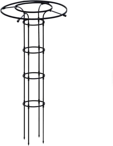Traliccio da giardino a forma di obelisco a ombrello, colore nero, supporto per piante rampicanti e fiori, leggero, 155 cm, per una migliore esposizione del giardino
