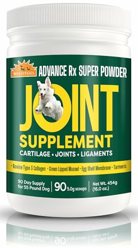 WellyTails Hip Joint and Ligaments Supplement for Dogs Glucosamine, Green Lipped Mussel, Chondroitin, MSM, Collagen & Hyaluronic Acid - Concentrated Powder Supplement for Large Dogs