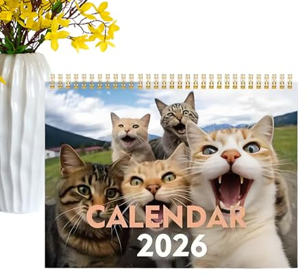 BommFu Calendario De 2026-12 Recordatorios De Citas Mensuales Verticales,Calendario de Gatos Divertido y Gracioso - Para Niños, Estudiantes, Profesores, Dormitorio, Aula, Hogar