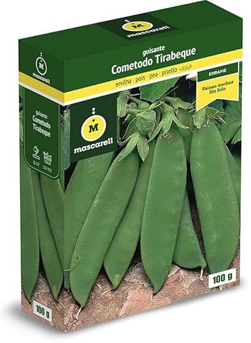 Mascarell Semillas, GUISANTE COMETODO, Semillas Leguminosas, Fácil de Cultivar en Casa, 100 G