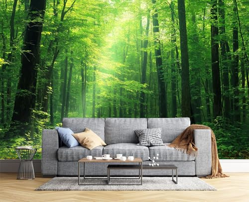 Carta Da Parati 300X210Cm - Fotomurali In Seta Murale Alla Moda Decorazione Da Muro Xxl Poster Gigante Design Foresta Soleggiata Carta Per Pareti Paesaggio Naturale Da Sogno Verde Menta