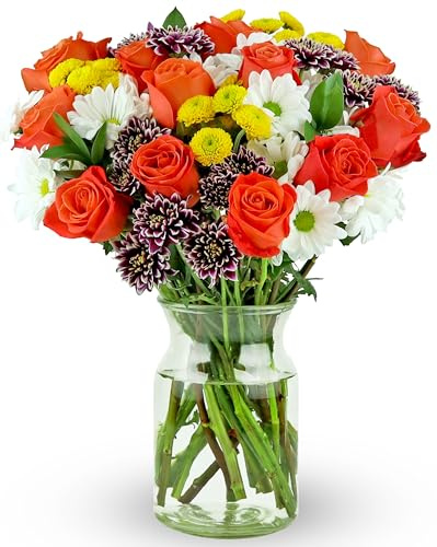 Benchmark Bouquets - Life is Good Orange Roses - Fresh Flowers for Delivery - Mothers Day Flowers for Mom - Gifts for Mom - Mother's Day Bouquet (Glass Vase Included)