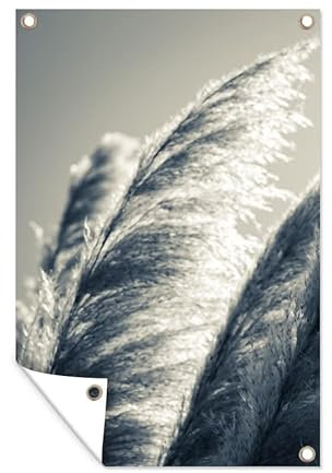 MuchoWow Outdoor-Poster Poster Wanddeko draußen Deko Garten Gartenposter 60x90 cm Pampasgras - Schwarz - Weiß - Natur