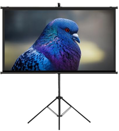 Schermo per proiettore portatile con supporto, schermo cinematografico HD senza pieghe, per casa, ufficio, teatro e TV, leggero e facile da installare, perfetto per film e presentazioni