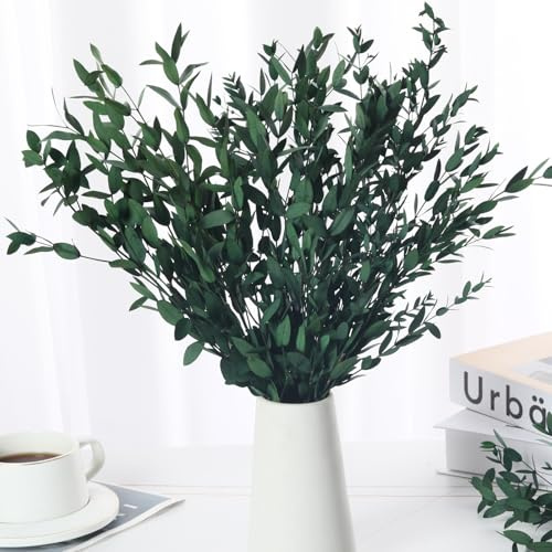 Dried Eucalyptus Leaves Stems, Preserved Eucalyptus Plant, Real Greenery Branches Bundle for Wedding Wreath Party Home Fragrance Bathroom Vase Filler Decor