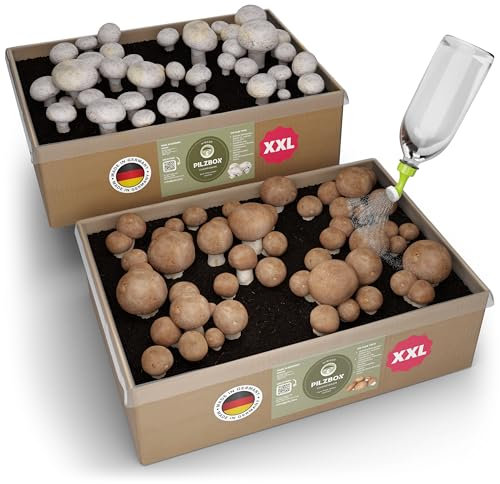 Hiwago Komplettset Champignon Pilzbox zum Pilze züchten für Zuhause – Komplettset für braune & weiße Champignons, Pilzbrut zum Züchten für zuhause - Mushroom kit mit Myzel & Gießkannenaufsatz Gr. XXL