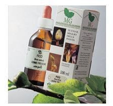 Sangalli Fico Macerato Glicerico 100 Ml