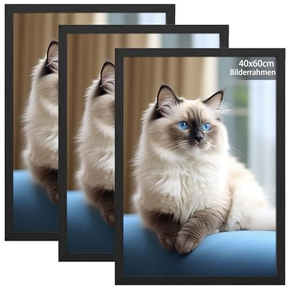 RUN HELIX 3 Pack Bilderrahmen 40x60cm, 40x60cm Bilderrahmen Schwarz, Fotorahmen zum Aufhängen mit Poster, Posterrahmen Benutzt für Wohnzimmer, Schlafzimmer, Arbeitszimmer
