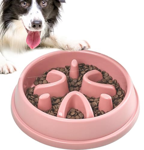 Gamelle pour Chien à Alimentation Lente, Gamelle pour Chien à Alimentation | Bol d'alimentation lente anti-avalement pour chat, mangeoire