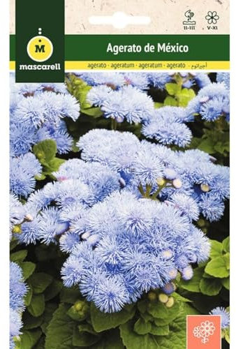 Mascarell Semillas, AGERATUM DE MÉXICO AZUL, Semillas Flores Exterior para Decoración, 0,5 Gramos