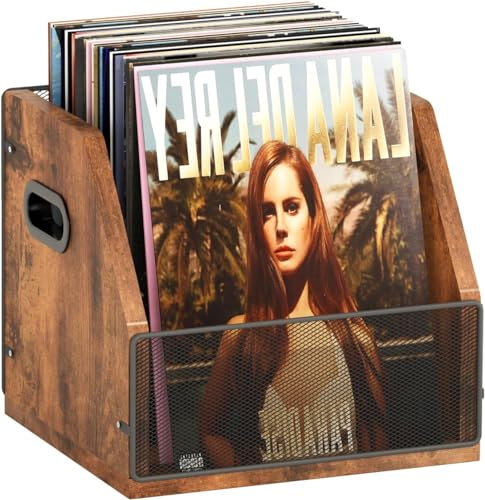 EATAN Boîte de rangement pour disques vinyles en métal et bois, peut contenir jusqu'à 60 disques