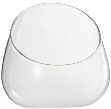 Gatuida Schräges Terrarium Mikrolandschaft Öko Flasche Glasbehälter Transparent Kompakt Pflanzenglasflasche Zum Dekorieren Und Aufbewahren