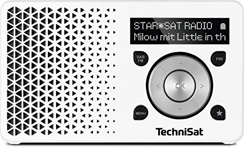 TechniSat DIGITRADIO 1 – Tragbares DAB+ Radio mit Akku (DAB, UKW, Lautsprecher, Kopfhöreranschluss, Favoritenspeicher, OLED Display, klein, 1 Watt RMS) weiß/silber