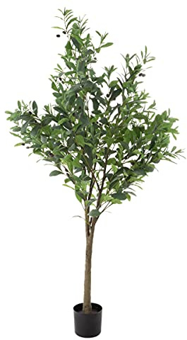 Pure Garden Olivo artificial, planta sintética en maceta de 6 pies con fruta para decoración del hogar u oficina, hojas de poliéster de aspecto natural