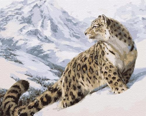 Artnapi Malen nach Zahlen Erwachsene mit Rahmen | DIY Handgemalt | Schneeleopard Irbis | Kit für Anfänger und Erwachsene | Set inklusive Acrylfarben & Pinsel | 40x50cm Leinwand | Ideal als Geschenk