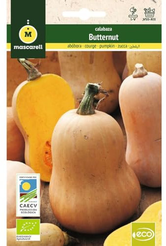 Mascarell Semillas, CALABAZA BUTTERNUT, Semillas Ecológicas, 3 Gramos