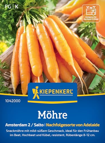 Kiepenkerl Möhrensamen Amsterdam 2/Salto 1042000, Gemüsesaat | Rübenlänge von 8-12 cm, Inhalt für 8-10 laufende Meter