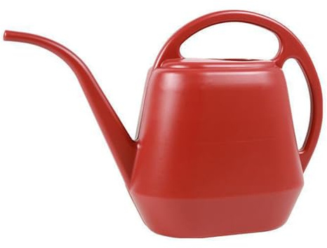 AMISENK Annaffiatoio da interno da 4 litri per piante da appartamento piccolo con beccuccio lungo modello di fiore irrigatore per piante da interno manico ergonomico irrigazione