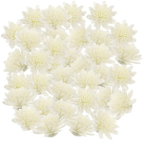 RORPOIR 100 Pezzi Fiori di Crisantemo in PE per Diffusore Aroma, Decorazione Bianca per Rilascio Olio Essenziale, Accessori per Aromaterapia Casa e Interni