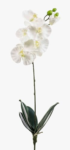 artplants.de Orquídea phalaenopsis sintética ISIS, en Vara de Ajuste, Blanco, 60cm - Orquídea Artificial - Flores de plástico