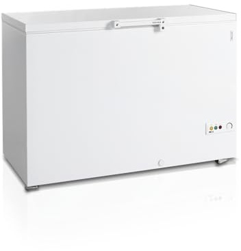 Congélateur Coffre FR405 - TEFCOLD