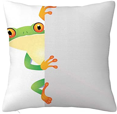 45cmx45cm Reptile Throw Pillow Case,Frog Big Eyes Wall Reptiles,Square Cushion Cover for Sofa Couch Bedroom Living Room Dorm Decoration,Green Yellow Orange
