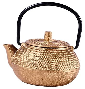 Gatuida Cast Iron Mini Tea Kettle Rustproof Infusers Teapot Stovetop Teapot for Catering