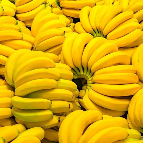 Semi di banana, banana esotiche frutteto frutto colonnare resistente fresca per esterni serre da balcone comprare 85pcs