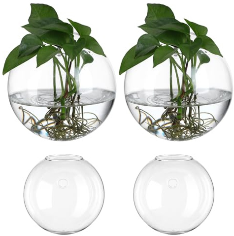 SHINEOFI Jardinières Murales en Verre Transparent Lot de 4 Vases Muraux pour Boutures Station de Propagation Suspendue pour Plantes d'Intérieur Décoration Salon Cuisine