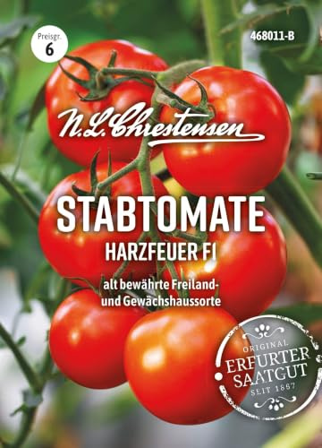 Stabtomate Harzfeuer F1 Hybridsorte, mittelgroße,sehr frühe, runde, sehr aromatische Früchte