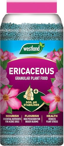Westland Ericaceous Plant Food Granules Jar 900g – Ideal Fertilizer for Acid-Loving Plants like Rhododendrons, Azaleas, Blueberries & Camellias, Promotes Healthy Growth & Vibrant Blooms