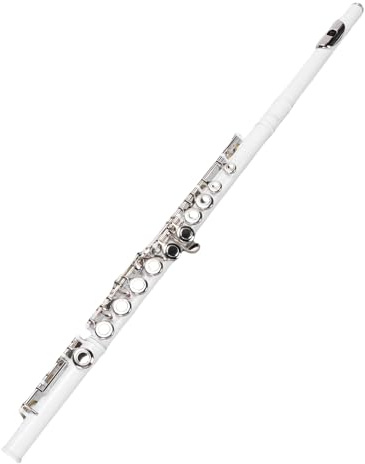 C Flöte, 16 Schlüsselflöte für Kinder, Anfänger, Student, Anfänger -Musikinstrument mit Tragetasche und Reinigungsset, Ergonomisch G Key Offset Student Flöteninstrument, Leicht