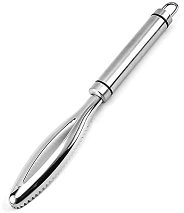 GOODGDN Desescamador para Pescado, Escamas de Pescado Raspador Eliminar Peleador Más Limpio Herramienta Cocina Acero Inoxidable Rápida Limpieza Piel de Pescado Balanzas