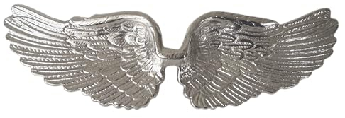 Generisch Deko Figur Wand Metall Alu Engel Flügel Wings silber Dekoobjekt Wanddekoration 2