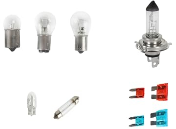 Autolampen Set Glühlampen Ersatzkasten Halogen H4 12V für PKW Scheinwerfer, Bremslicht, Rücklicht, Rückfahrlicht, Blinker, Innenraum, Kofferraum, Nebellicht