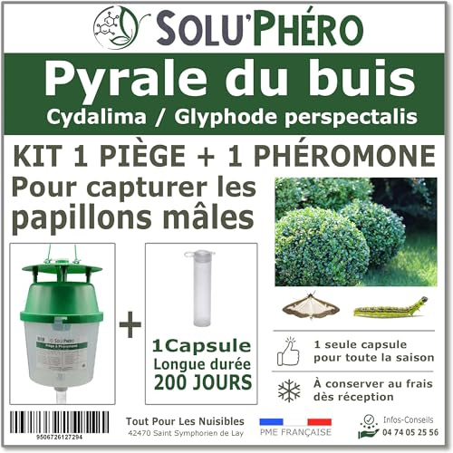 SOLUPHERO - Kit piège + 1 Phéromone Longues durées pour la pyrale du buis - 200 Jours