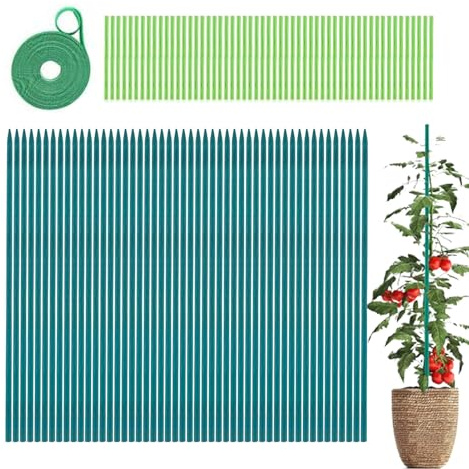 Buhygn Soporte para palos de plantas | Soporte para verduras trepadoras, con lazos y cinta para estacas de tomate, para arreglos florales, manualidades, maceta, escalada, monstera, orquídea, tomate