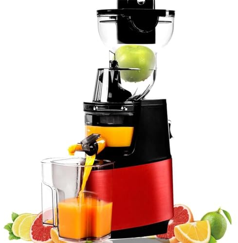 Slow Masticating Juicer Machines, 250W Cold Press Juicer with Large Feed Chute, Electric Masticating Juicers for Vegetables and Fruits, Easy to Clean with Brush