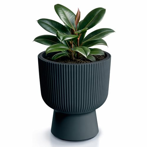 Prosperplast Milly vaso da fiori di design Design moderno a cilindro con inserto per piante, per uso interno ed esterno, resistente al gelo, al calore e ai raggi UV (⌀ 239 mm, Antracite)
