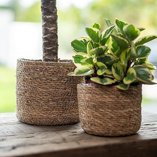 DARO DEKO Seegras Korb rund Natur Ø 21 x 18cm mit Einsatz Blumentopf geflochten Aufbewahrungskorb Über-Topf Blumenkorb