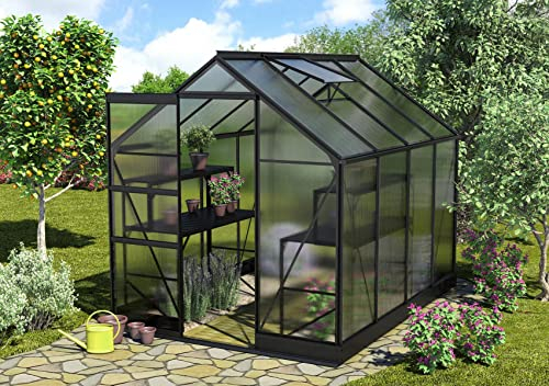 Vitavia Gewächshaus Apollo 5000, HKP 6mm, schwarz