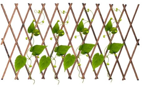 Traliccio da giardino per piante rampicanti – Traliccio in legno espandibile, supporto per piante da giardinaggio, traliccio da giardino espandibile, per recinzioni in legno per piante