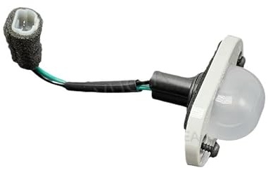 Luz de matrícula Trasera Iluminación de matrícula Lámpara de matrícula Trajet 925013A005, Compatible con Hyundai H1 H-1 STAREX 2005-2007 Recambio