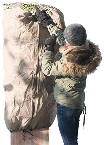AFP Winterschutz-Vlies Thermomantel XXL, beige, Ø 200 x 300cm, 70g/qm Überwintern von Olivenbaum, Palme/Frostschutz Kübel-Pflanzen/Reißverschluss & Kordel / 2 Jutesäckchen gratis