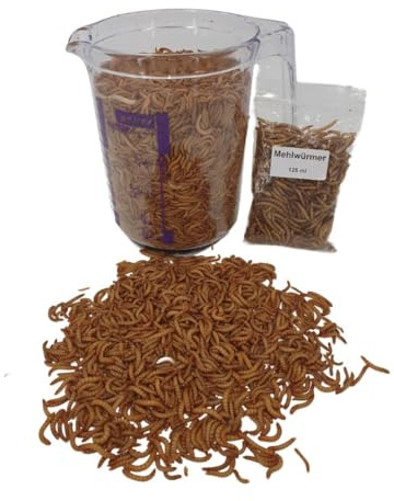 Lebende Mehlwürmer – Hochwertiges Protein-Futter für Igel, Reptilien, Hühner und Vögel – Literware für gesunde Ernährung und natürliches Fressverhalten! + 125 ml getrocknete Mehlwürmer (1 Liter)