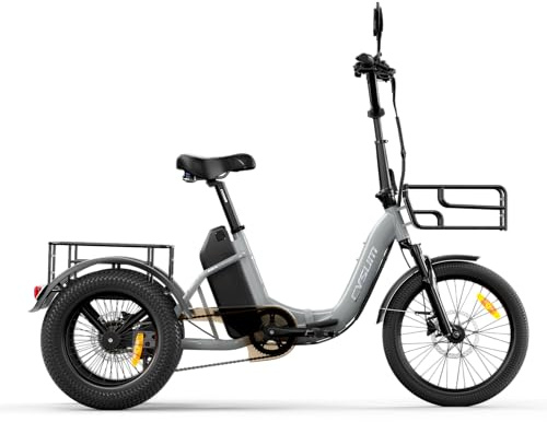 AG1 Pro Velo électrique Homme Femme,16'' Tricycle Electrique Adulte, Batterie 48V 20Ah, 25 km/h et Autonomie de 80 km, Frein à Disque Hydraulique et Différentiel