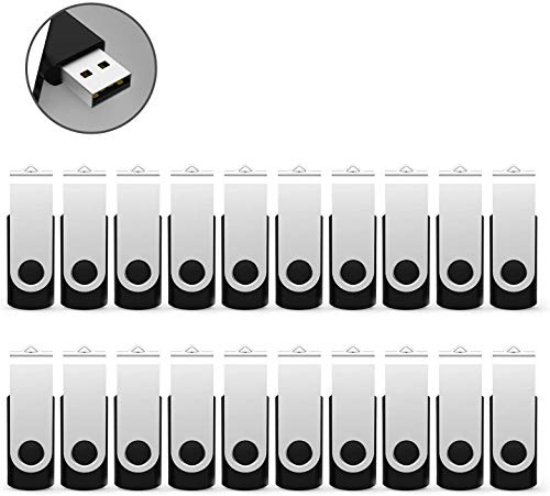 RAOYI USB Sticks 1GB 20 Stück USB-Sticks 1 GB 2.0 LED-Anzeige Schwarz | Speicherstick 1GB USB Flash Laufwerk Stick 360° Drehbar Design mit Metalldeckel für Computer,Laptop,PC,TV,Autoradio